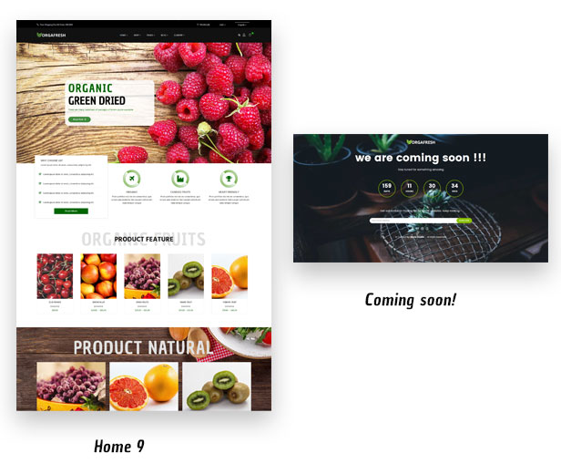 Orgafresh | Organic & Food WooCommerce WordPress Theme - 3